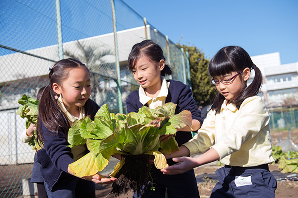 成蹊小学校