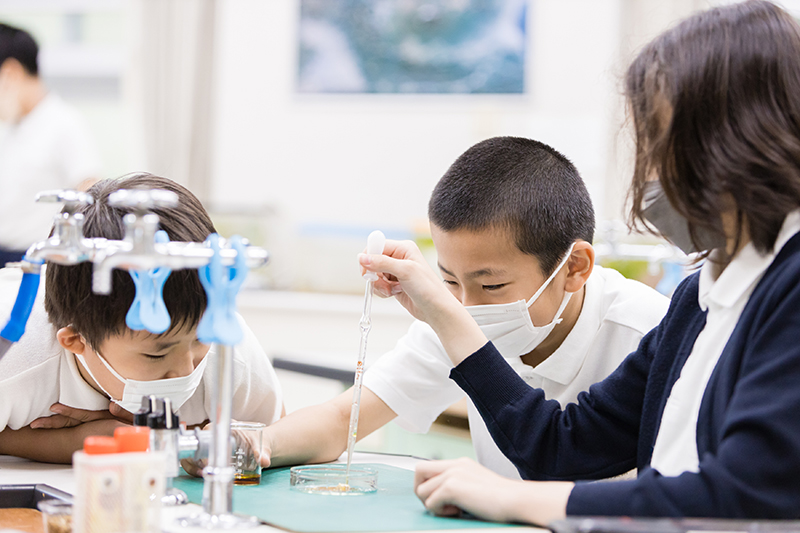 トキワ松学園小学校